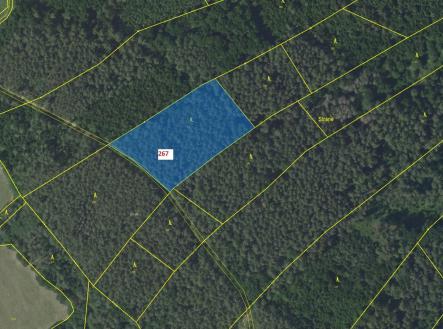 Prodej - pozemek, les, 7 127 m²
