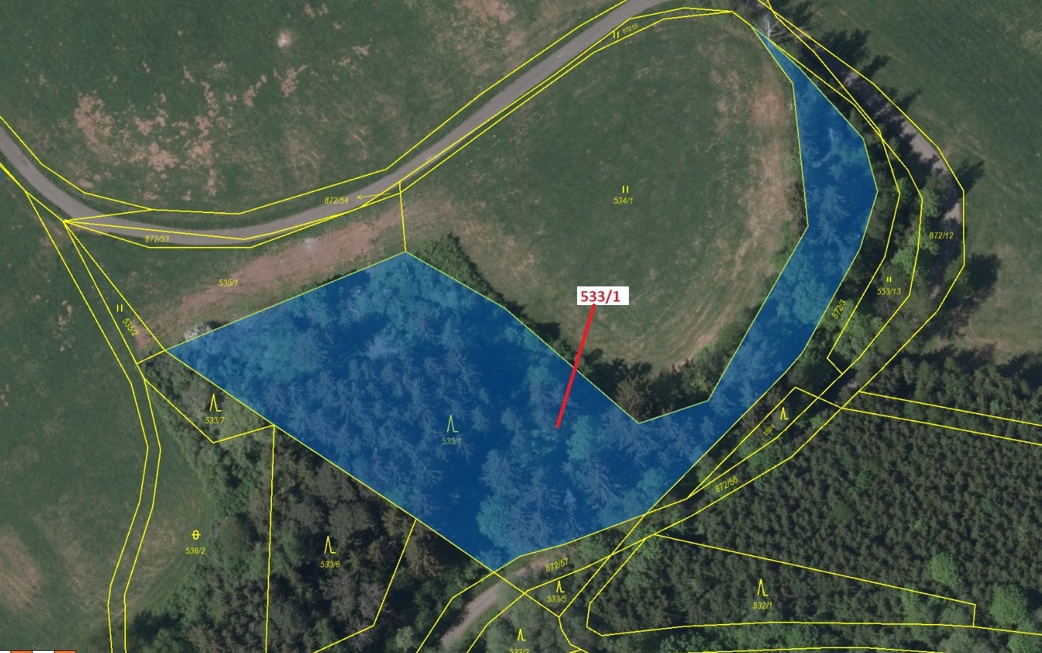 Lesní pozemek o výměře 6 435 m2, podíl 1/1, k.ú. Arnultovice, okres Trutnov