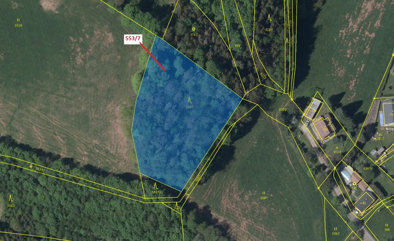 Lesní pozemek o výměře 4 183 m2, podíl 1/1, k.ú. Arnultovice, okres Trutnov