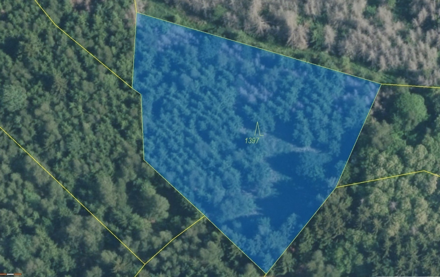 Lesní pozemek o výměře 3 140 m2, podíl 1/1, k.ú. Drásov, okres Brno-venkov