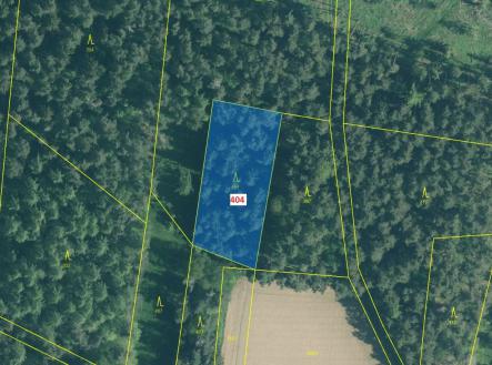 Prodej - pozemek, les, 1 802 m²