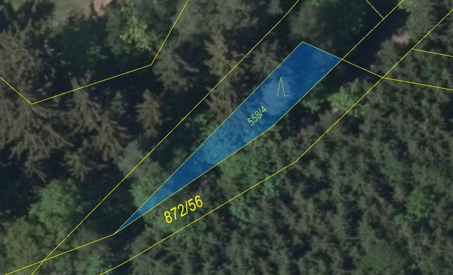 Lesní pozemek o výměře 140 m2, podíl 1/1, k.ú. Arnultovice, okres Trutnov