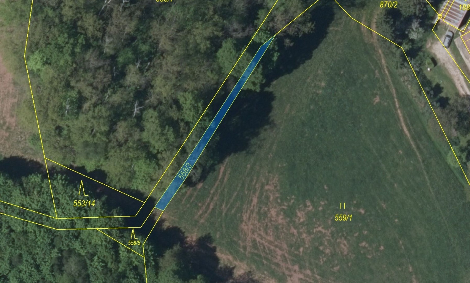 Lesní pozemek o výměře 101 m2, podíl 1/1, k.ú. Arnultovice, okres Trutnov