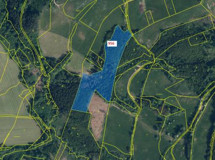 Prodej - pozemek, les, 26 830 m²