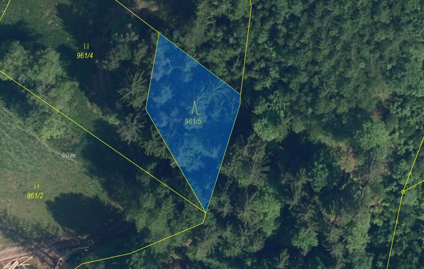 Lesní pozemek o výměře 743 m2, podíl 1/1, k.ú. Bystrá nad Jizerou, okres Semily