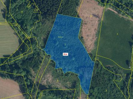 Prodej - pozemek, les, 20 539 m²