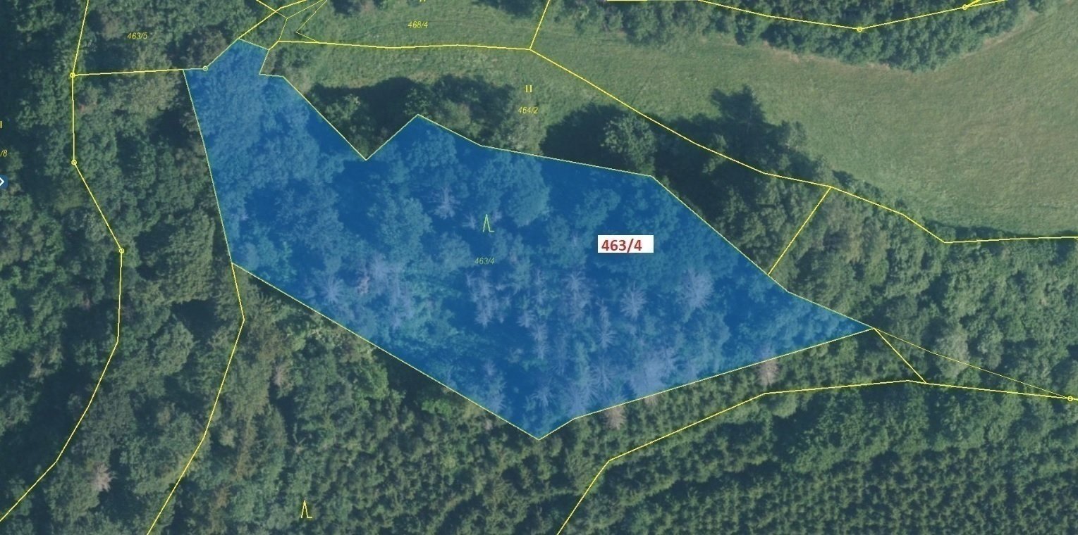 Lesní pozemek o výměře 7 143 m2, podíl 1/1, k.ú. Šebrov, okres Blansko