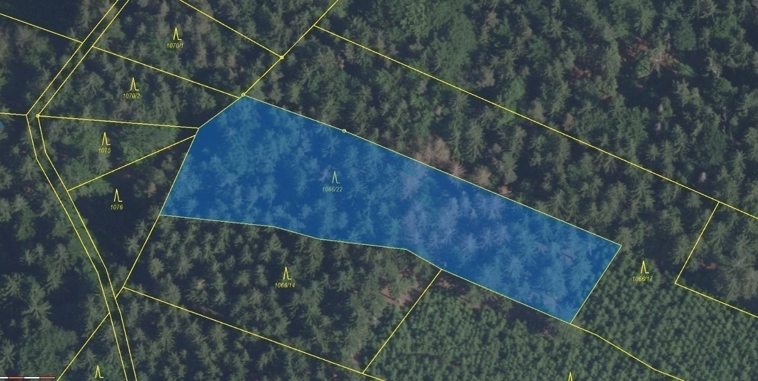 Lesní pozemek o výměře 5 035 m2, podíl 14/15, k.ú. Roztoky u Semil, okres Semily