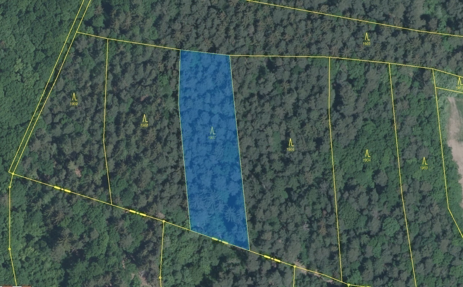 Lesní pozemek o výměře 3 147 m2, podíl 1/1, k.ú. Kladná Žilín, okres Zlín