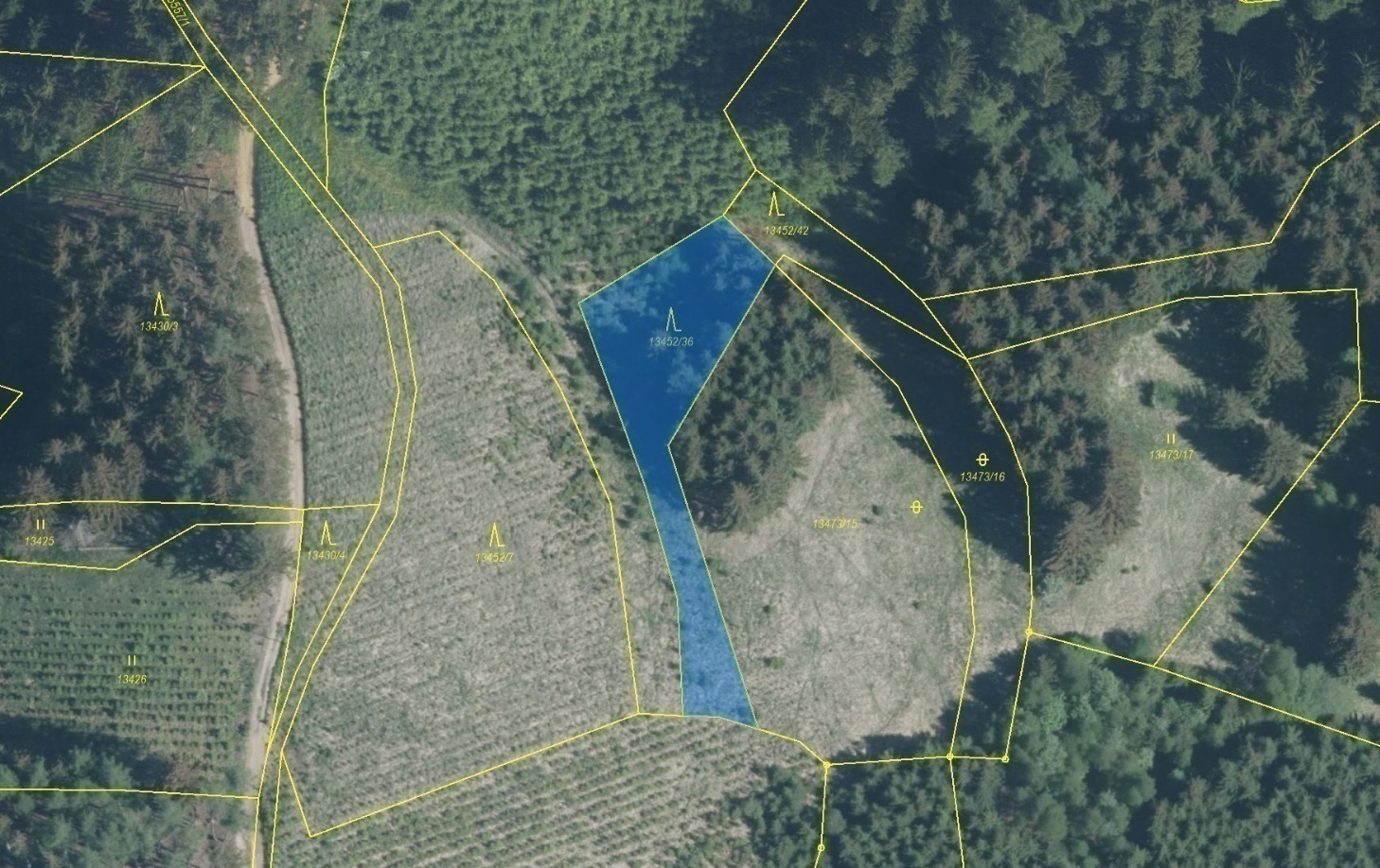 Lesní pozemek o výměře 1 217 m2, podíl 1/1, k.ú. Hovězí, okres Vsetín