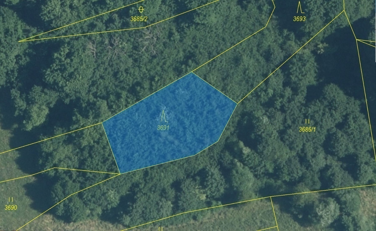 Lesní pozemek o výměře 938 m2, podíl 1/1, k.ú. Hovězí, okres Vsetín