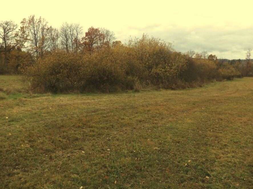 Pozemky o velikosti 26461m2, Žďár u Blovic