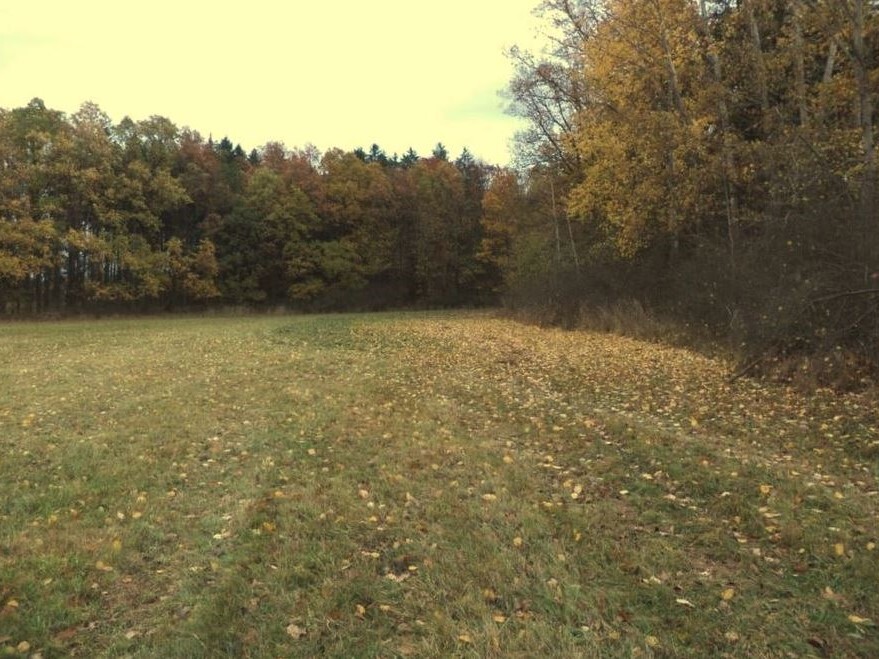 Pozemky o velikosti 26461m2, Žďár u Blovic