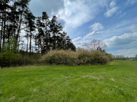 Prodej - pozemek, zemědělská půda, 4 731 m²