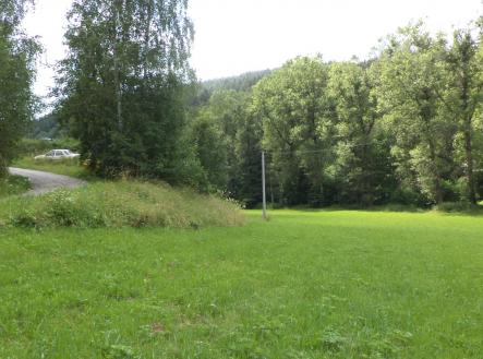 Prodej - pozemek, trvalý travní porost, 3 601 m²