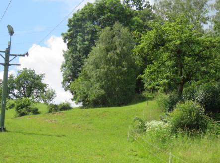 Prodej - pozemek, trvalý travní porost, 1 886 m²