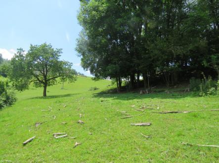 Prodej - pozemek, trvalý travní porost, 1 886 m²