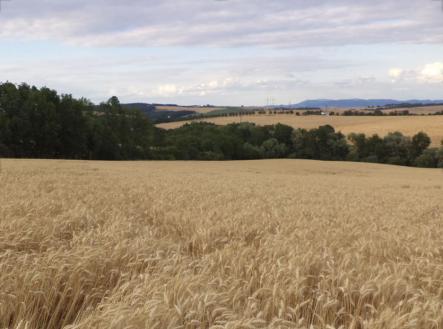 Prodej - pozemek, zemědělská půda, 3 446 m²