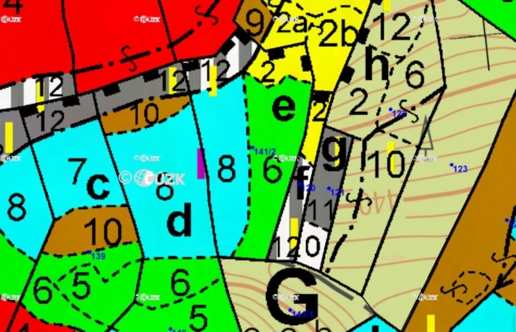 Lesní pozemek o výměře 10 246 m2, podíl 1/1, k.ú. Drválovice, okres Blansko