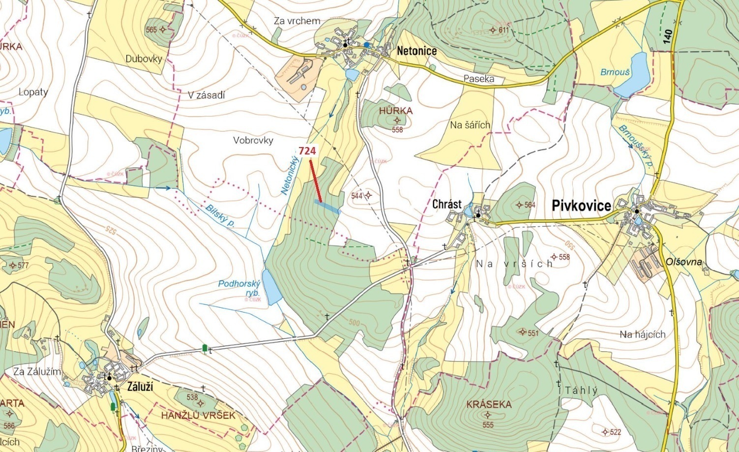 Lesní pozemek o výměře 3 381 m2, podíl 1/1, k.ú. Netonice, okres Strakonice