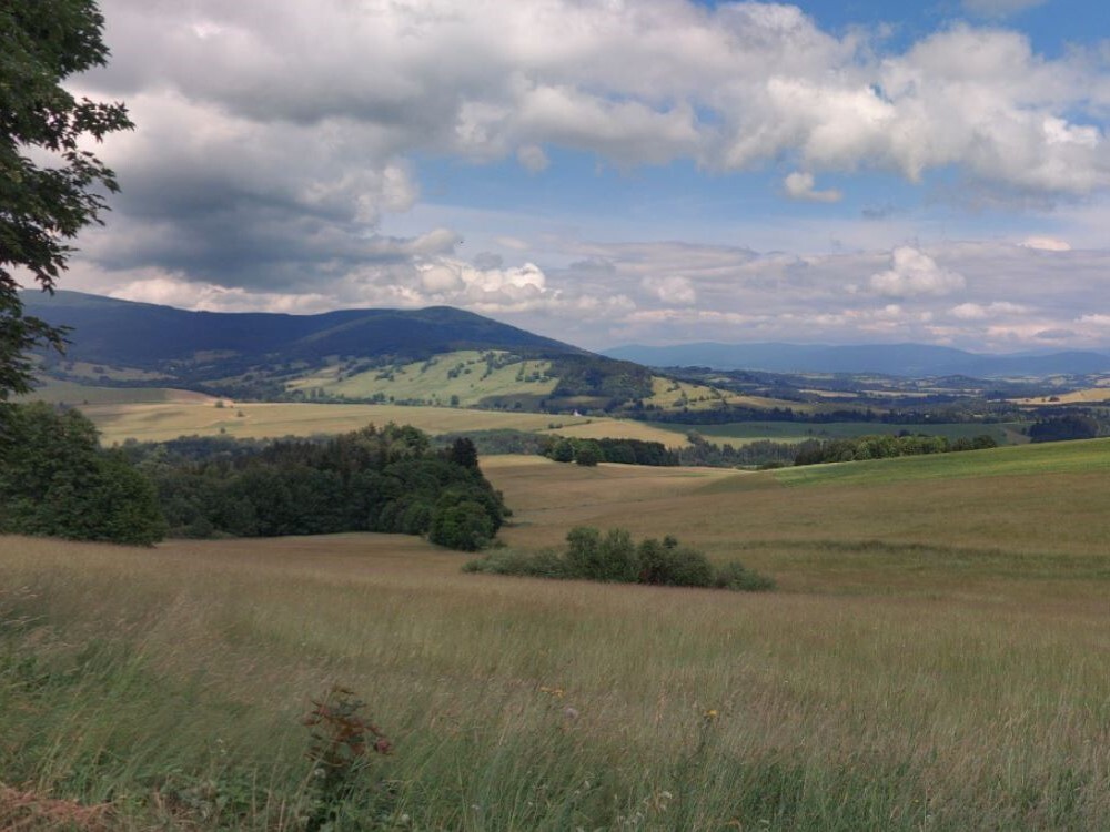 Pozemky o velikosti 644600m2, Dolní Hedeč