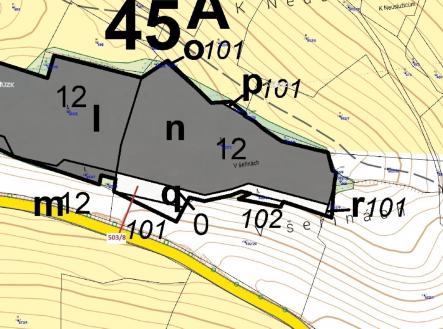 Prodej - pozemek, les, 2 656 m²