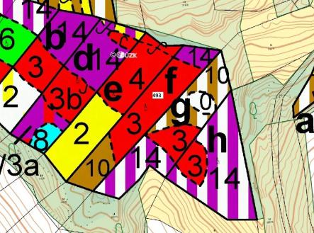 Prodej - pozemek, les, 4 276 m²