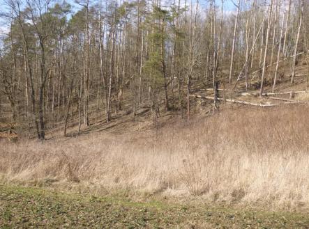 Prodej - pozemek, zemědělská půda, 13 755 m²