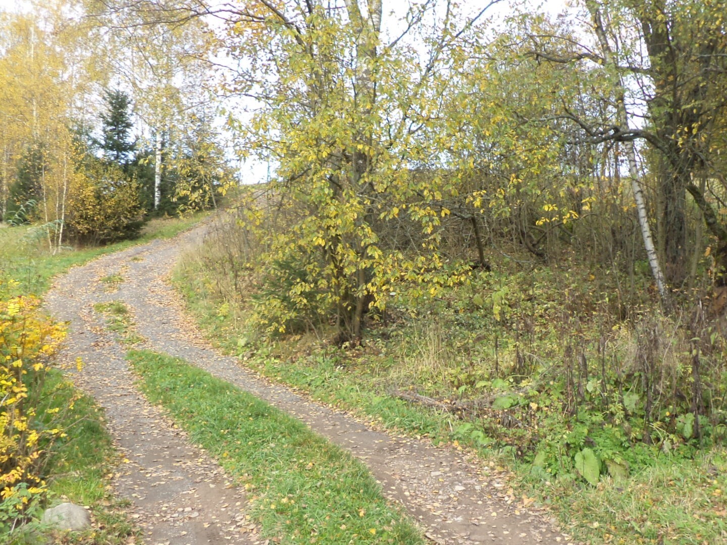 Pozemek o velikosti 1472m2, Říčky v Orlických horách