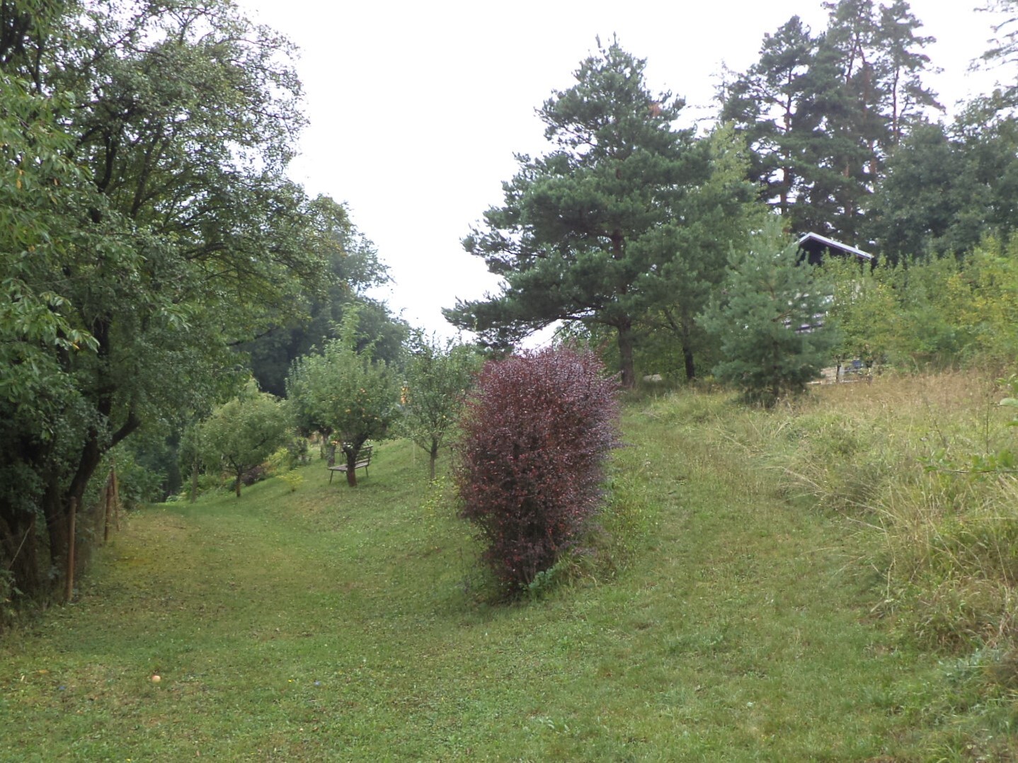 Pozemky o velikosti 650m2, Skuteč