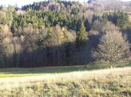 Prodej - pozemek, trvalý travní porost, 6 904 m²