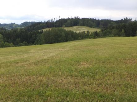 Prodej - pozemek, trvalý travní porost, 8 290 m²