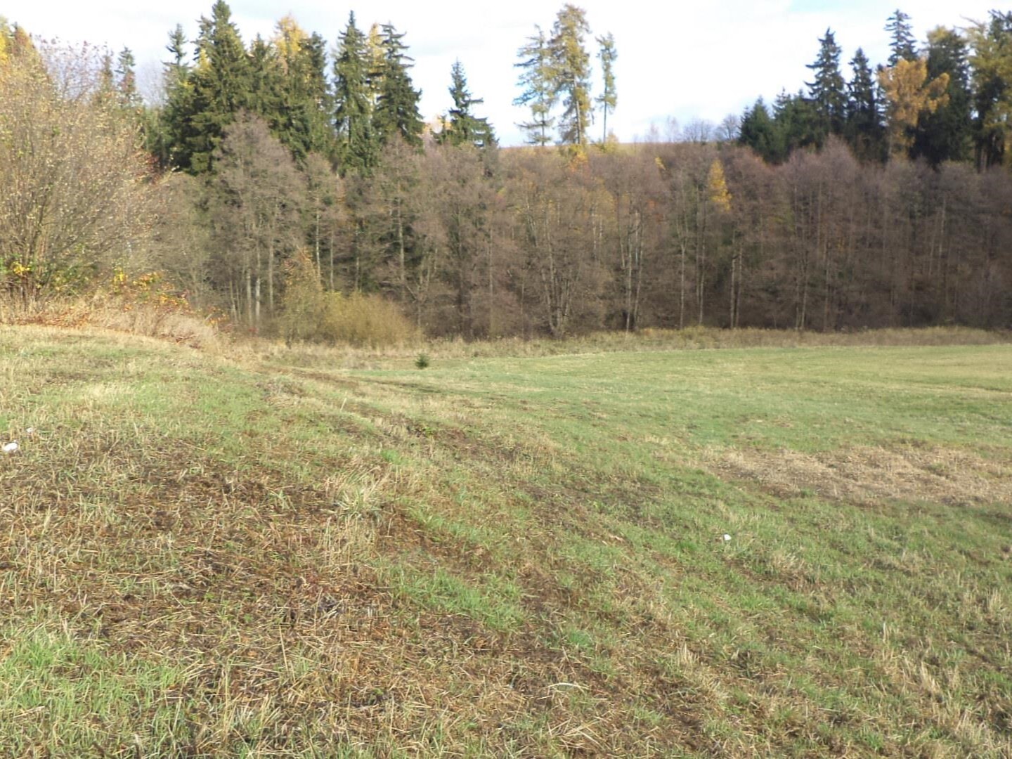 Pozemek o velikosti 65818m2, Rýmařov