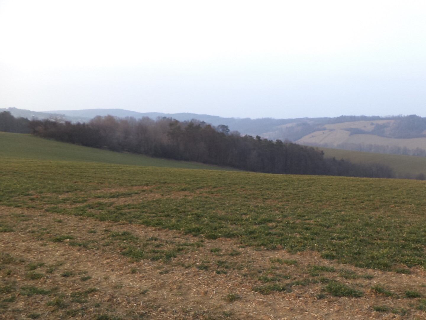 Pozemky  o velikosti 6891m2, Uherské Hradiště, podíl 1/2