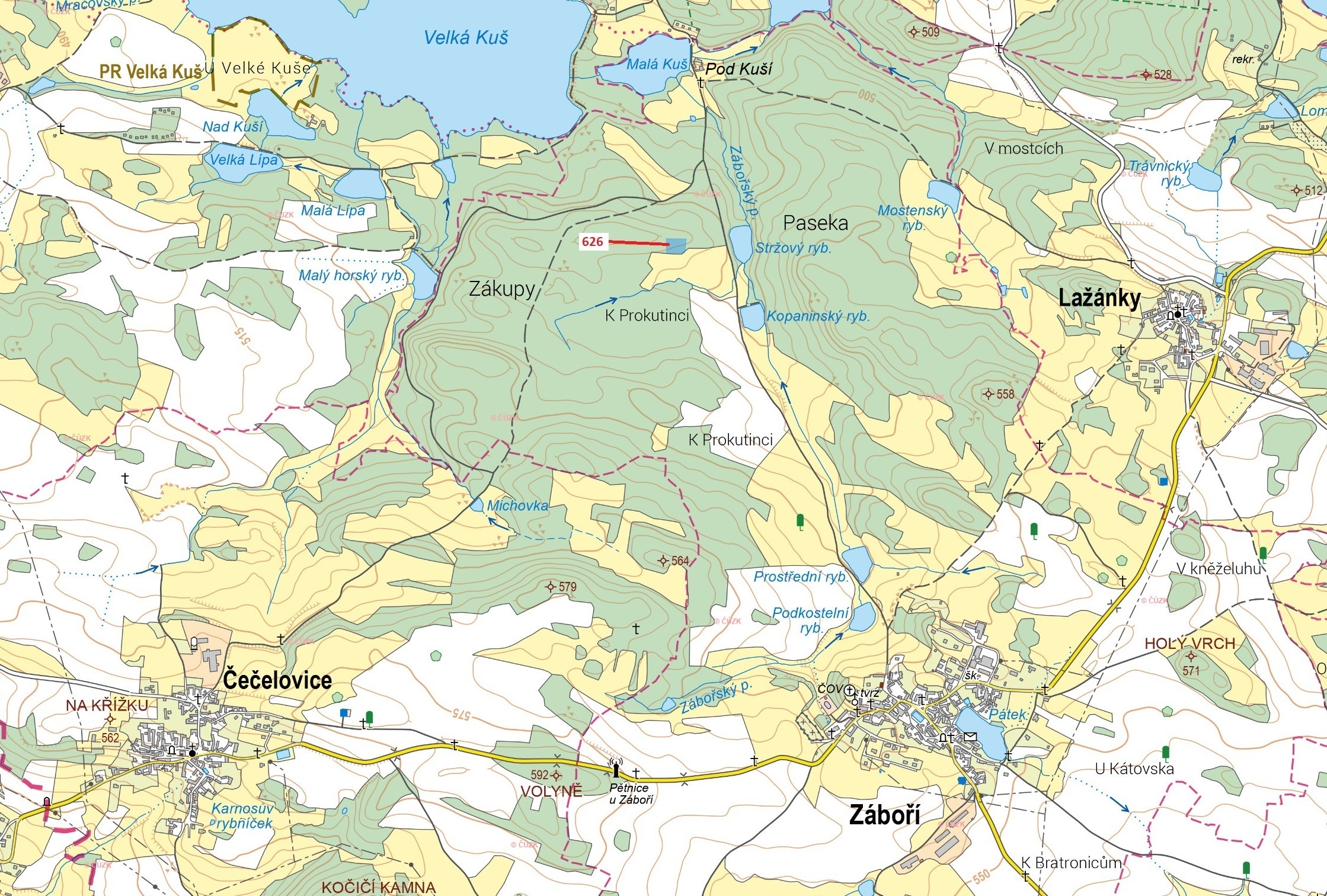 Lesní pozemek o výměře 3089 m2, podíl 1/1, k.ú. Záboří u Blatné, okres Strakonice