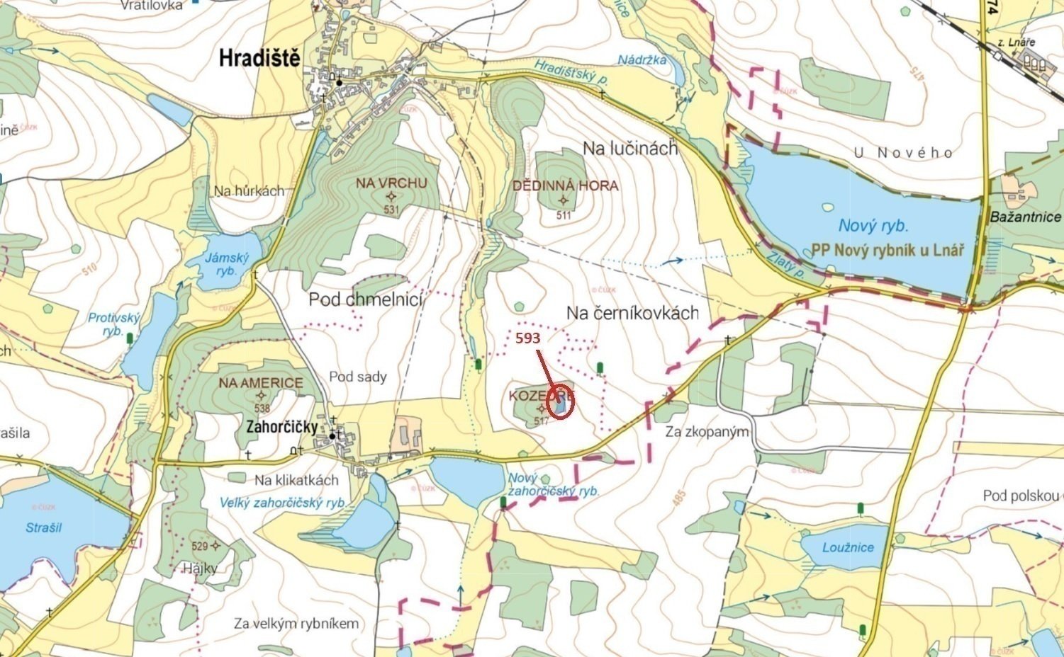 Lesní pozemek o výměře 2 226 m2, podíl 1/1, k.ú. Zahorčičky, okres Plzeň-jih