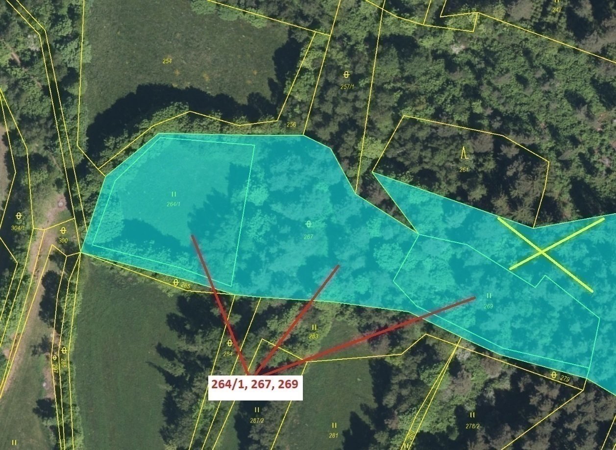 Trvalý travní porost, ostatní plocha o výměře 6 779 m2, podíl 1/1, k.ú. Setěchovice, okres Prachatic