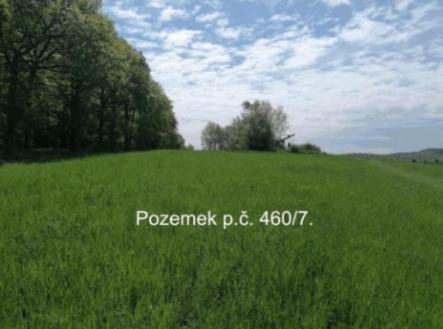 Prodej - pozemek, trvalý travní porost, 3 799 m²