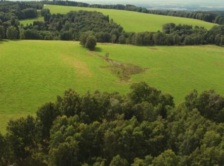 Prodej - pozemek, trvalý travní porost, 7 363 m²