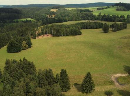 Prodej - pozemek, trvalý travní porost, 7 363 m²