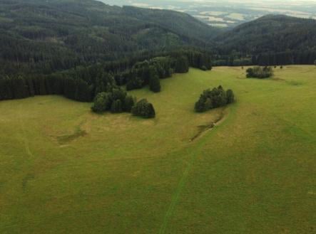 Prodej - pozemek, trvalý travní porost, 7 363 m²