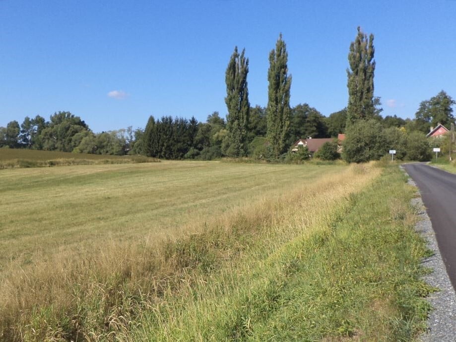 Pozemky o velikosti 2820m2, Medná