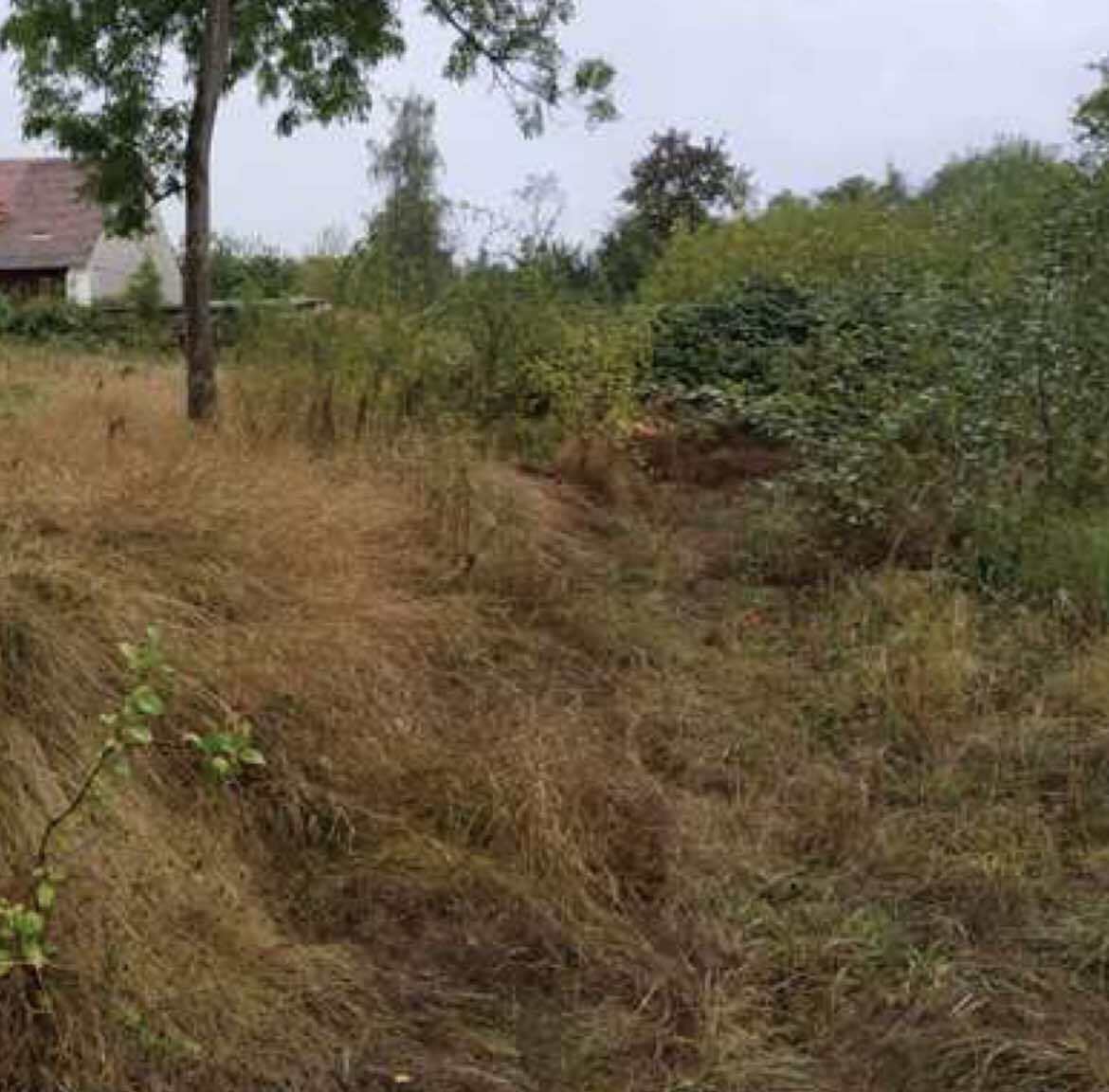 Pozemky o velikosti 3372m2, Plzeň-jih