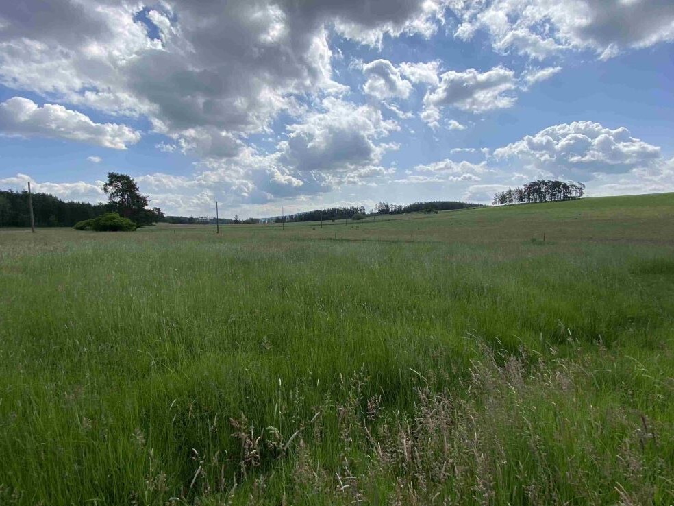 Stavební pozemek o velikosti 1400m2, Pavlovice nad Mží