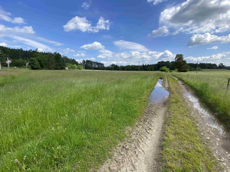 Stavební pozemek o velikosti 1400m2, Pavlovice nad Mží