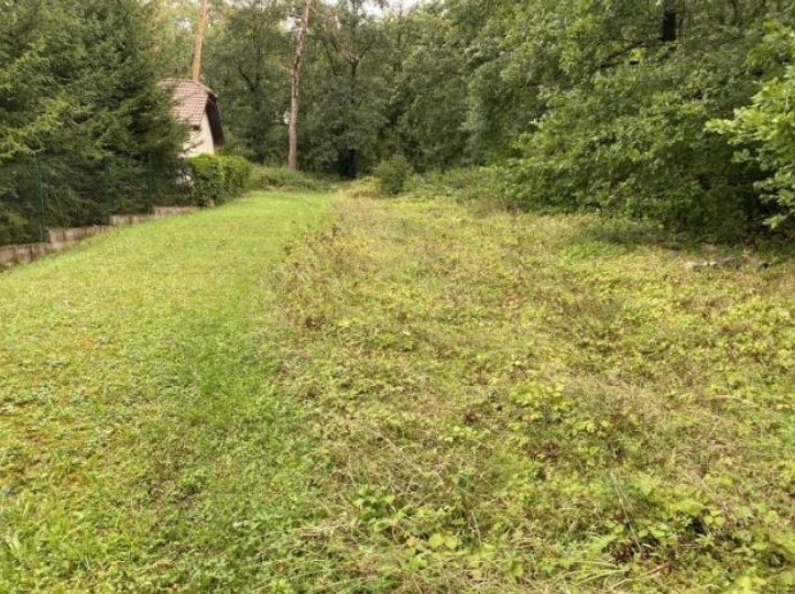 Dražba pozemku - 1.913 m2, obec Všejany, zastavitelný 3 rodinnými domy