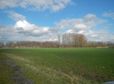 Prodej - pozemek, zemědělská půda, 39 848 m²