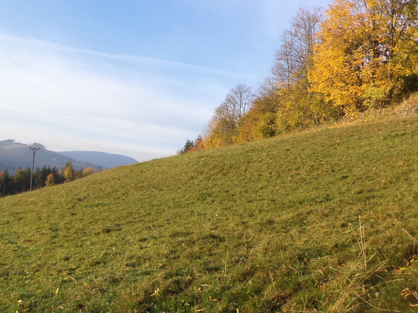 Pozemky o velikosti 9791m2, Dolní Lomná