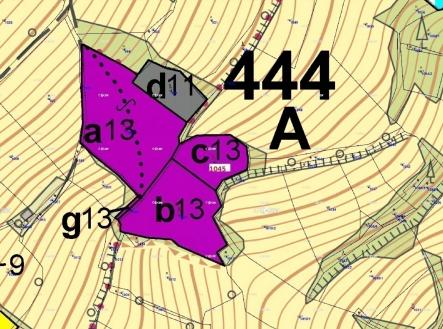 Prodej - pozemek, les, 2 418 m²