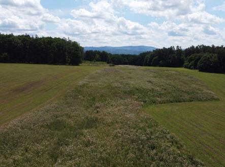 Prodej - pozemek, zemědělská půda, 26 333 m²